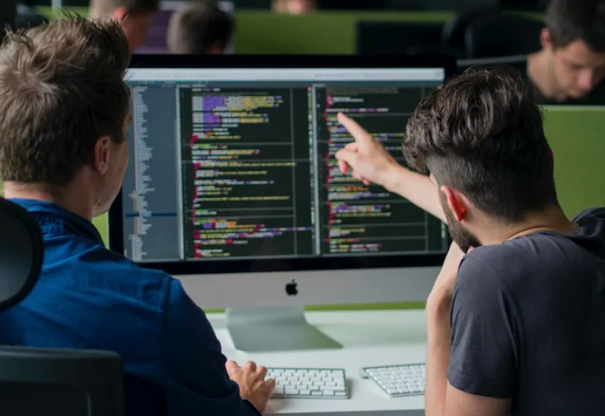 Expert mentors